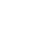 Vasco_180x180px